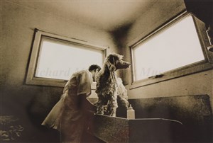 Image description is not available for 1972.002